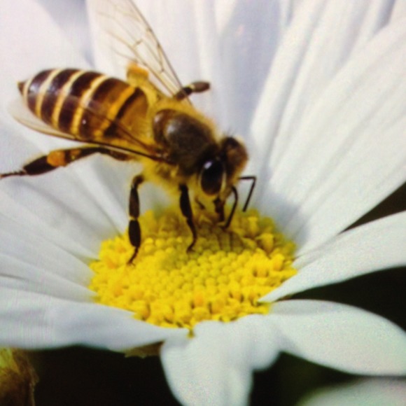 Meet your Posher, Gina - Picture 1 of 1